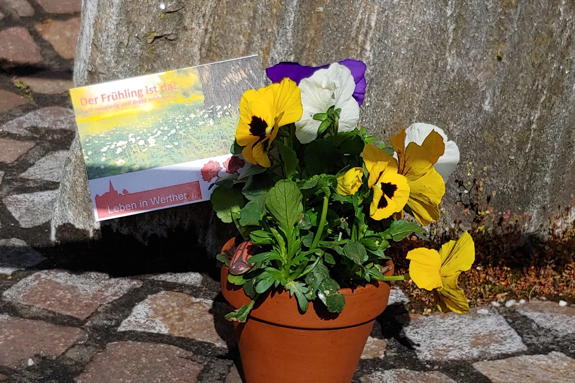 Blumengrüße zum 1. Mai
